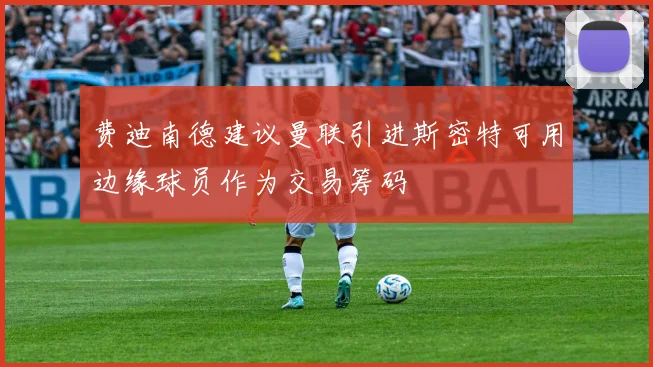费迪南德建议曼联引进斯密特可用边缘球员作为交易筹码